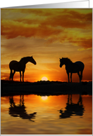 Horses and Water Sunrise Blank card