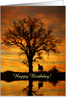 Horse Birthday Beautiful Nature Oak Tree and Sunset Pond Custom card