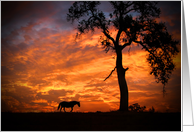 Horse Encouragement Hang In There Sunset and Oak Tree card