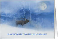 Nebraska Seasons Greetings with Snow and Elk Custom Text Front card