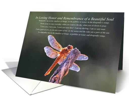 Spiritual Remembrance Sympathy for Loss with Dragonfly card (1723126)