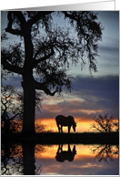 Horse Oak Tree and Water Thinking of You Pretty card