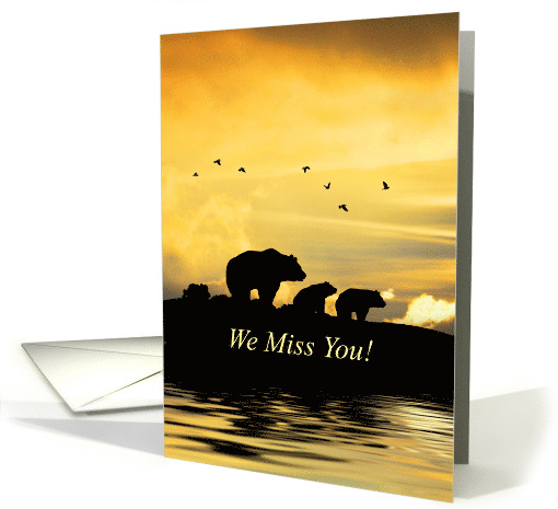 Miss You Cute Bears and Birds Humorous card (1726184)