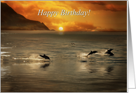 Dolphins in the Sea Beautiful Ocean Coastal Happy Birthday card