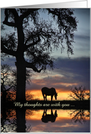 Sympathy Nature with Horse and Water Oak Tree Sunset Custom Text card