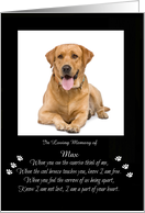 Remembrance Memorial Custom Photo For Dog Cat Pet Custom Name card