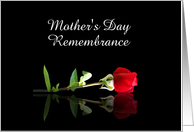 Mother Remembrance on Mothers Day Single Red Rose Custom card