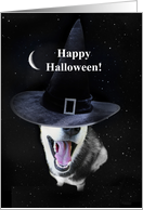 Halloween Cute Husky Dog Magical with Witch Hat and Moon Stars card