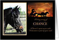 Horse Sympathy Memorial with Custom Photo and Name card