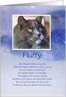 Pet Cat Sympathy Spiritual Heaven Custom Name and Photo card