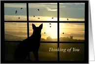 Condolences Thinking of You Dog in Window with Sunset Sympathy card