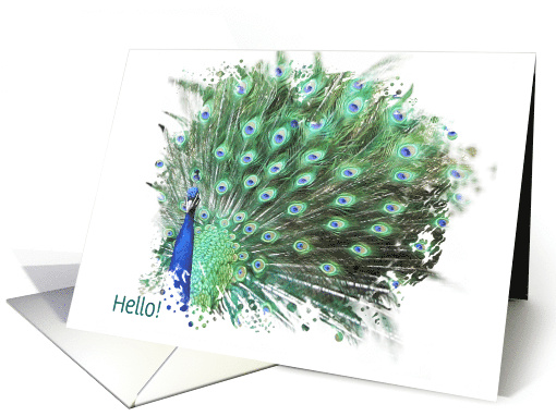 Peacock Custom Text Hello Pretty Colorful Modern Minimalist Hi card