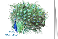 Mother’s Day Peacock Artistic Painterly Custom Text Pretty card