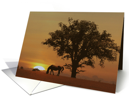 Beautiful Sunrise Morning Horse And Oak Tree Birthday card (526095)
