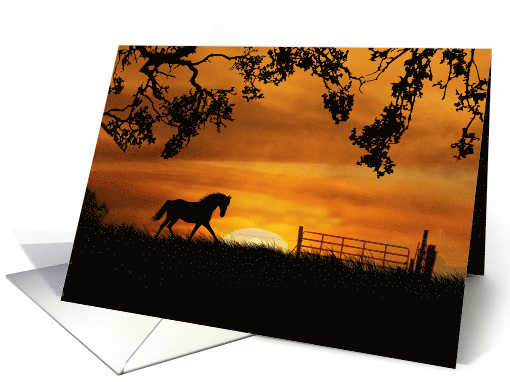 Horse and Sunset Birthday, Trotting Horse, Country Gate... (535209)