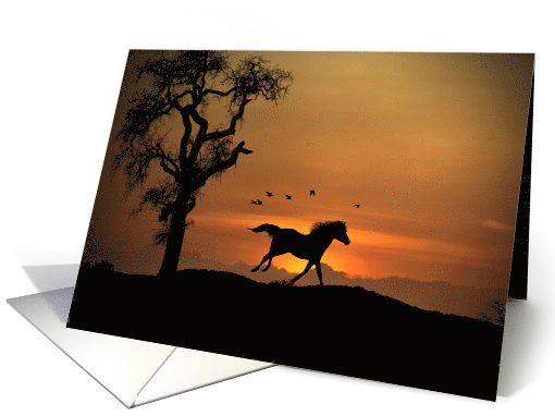 Divorce Support, Horse Divorce, Congratulations of Your Divorce card