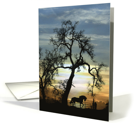 Pretty Prancing Horse and Oak Tree Country Western Hello, Hi card