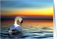 Beautiful Swan Encouragement, Sunrise New Day, New Opportunities card