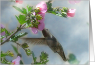 Humming Bird Mother’s Day card