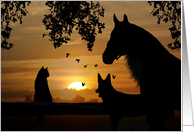 Pet Sympathy With Horse Dog And Cat card