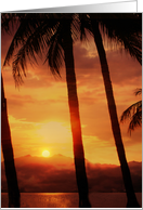 Paradise Palm Tree Birthday Sunset Island Coastal card