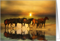 Horse Hello on the Beach at Sunset card