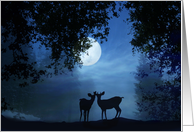 We’ve Eloped, deer couple in moonlight card