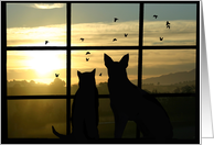 thank you for pet sitting dog and cat in window card
