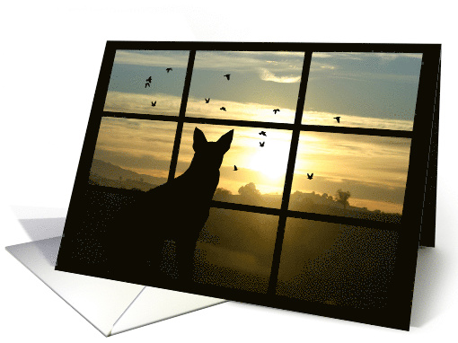 Loss of Dog Sympathy Card Dog in Window card (672001)