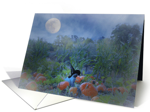 Kitty in the Pumpkin Patch with Witch Hat Halloween Greeting card