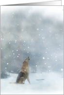 Wolf in the Snow Christmas Holiday Pretty Snow Scene card