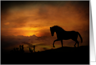 horse sunset blank card