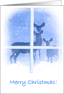 Merry Christmas Deer Family in Window with Snow Whimsical card