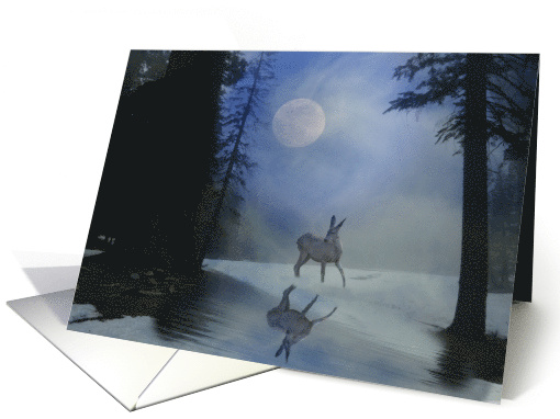 Beautiful Doe in Snow and Moon Nature Christmas Holiday card (731128)