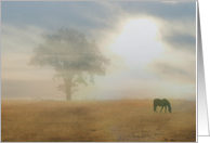 Sympathy, Loss of loved One, Horse & Tree in Fog card