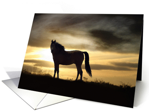 Horse Silhouette Sympathy card (854040)