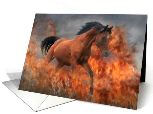 Horse running though fire congratulations card (868274)