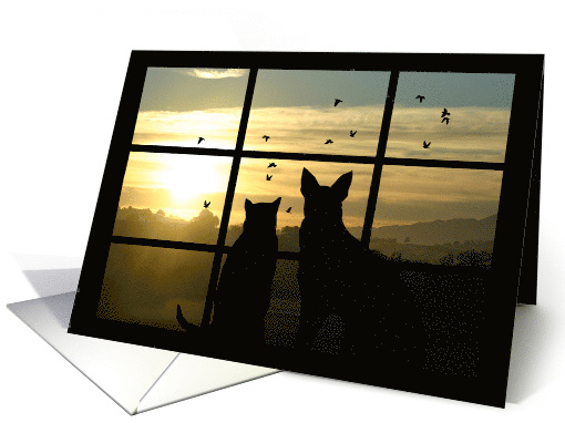 Cute Cat & Dog Watching Sunset Through Window Missing You card