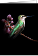 Hummingbird Thinkiing of You card