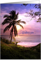 Happy Birthday Tropical, Palm Tree, Coastal Pretty card