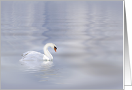 Lone Swan Sympathy card