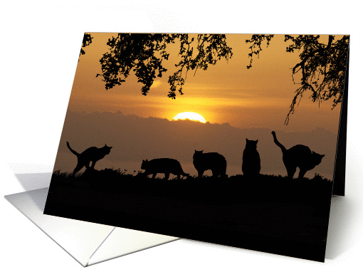 Cats in the Sunset Farewell From a Group/All of Us card (939103)