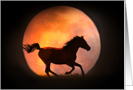 horse and moon birthday greeting card