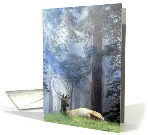Peace of Earth Elk In Forrest Christmas card (944118)