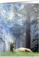 Peace of Earth Elk In Forrest Christmas Card