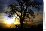 thank you for your sympathy horse silhouette and oak tree card