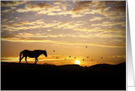 Sympathy for loss of horse, horse in sunset card