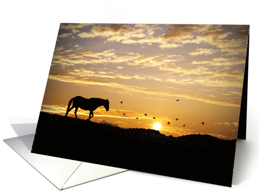 Sympathy, Silhouetted Horse and Birds in Sunset card (975509)