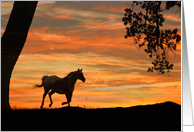 Thinking About You Horse and Sunset card