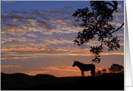 Pretty Thinking of You Horse and Sunset Card